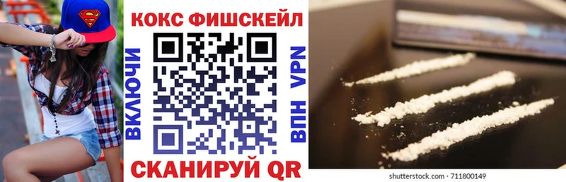 Купить закладки  Петухово  КОКАИН Fish Scale 
