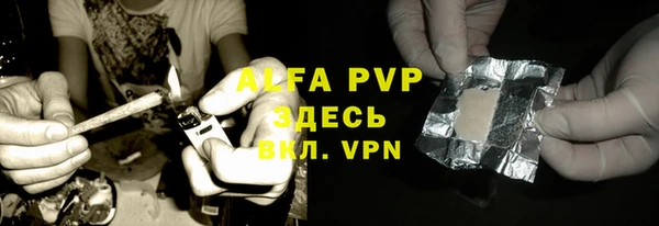 прущие грибы Коряжма