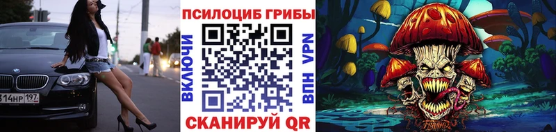 Купить закладки  Петухово  Галлюциногенные грибы прущие грибы 